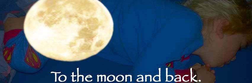 tot de maan en terug