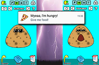 Pou